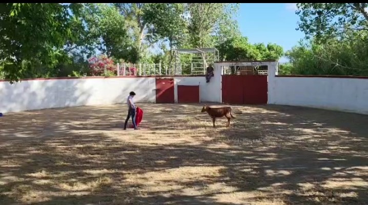 MOLINO4
