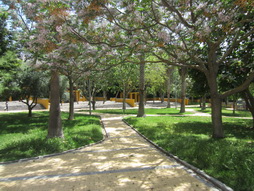 Parque junto al Ayuntamiento