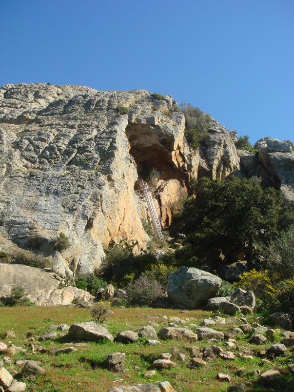 tajo